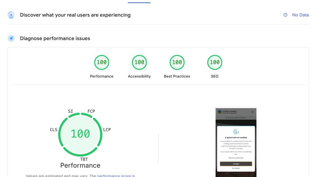 How goodrich.digital achieved 100/100 on PageSpeed Insights